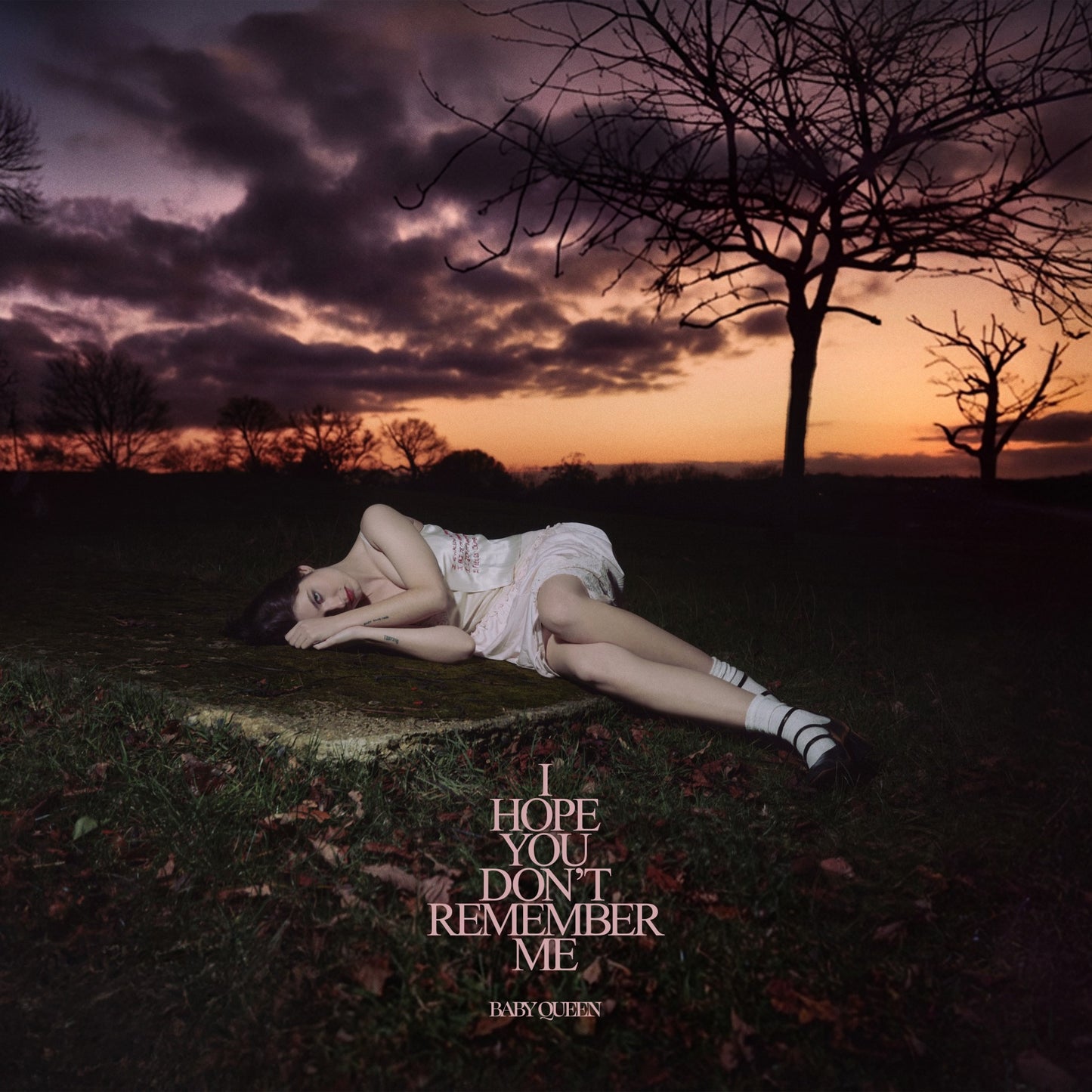 Baby Queen - I Hope You Don’t Remember Me
