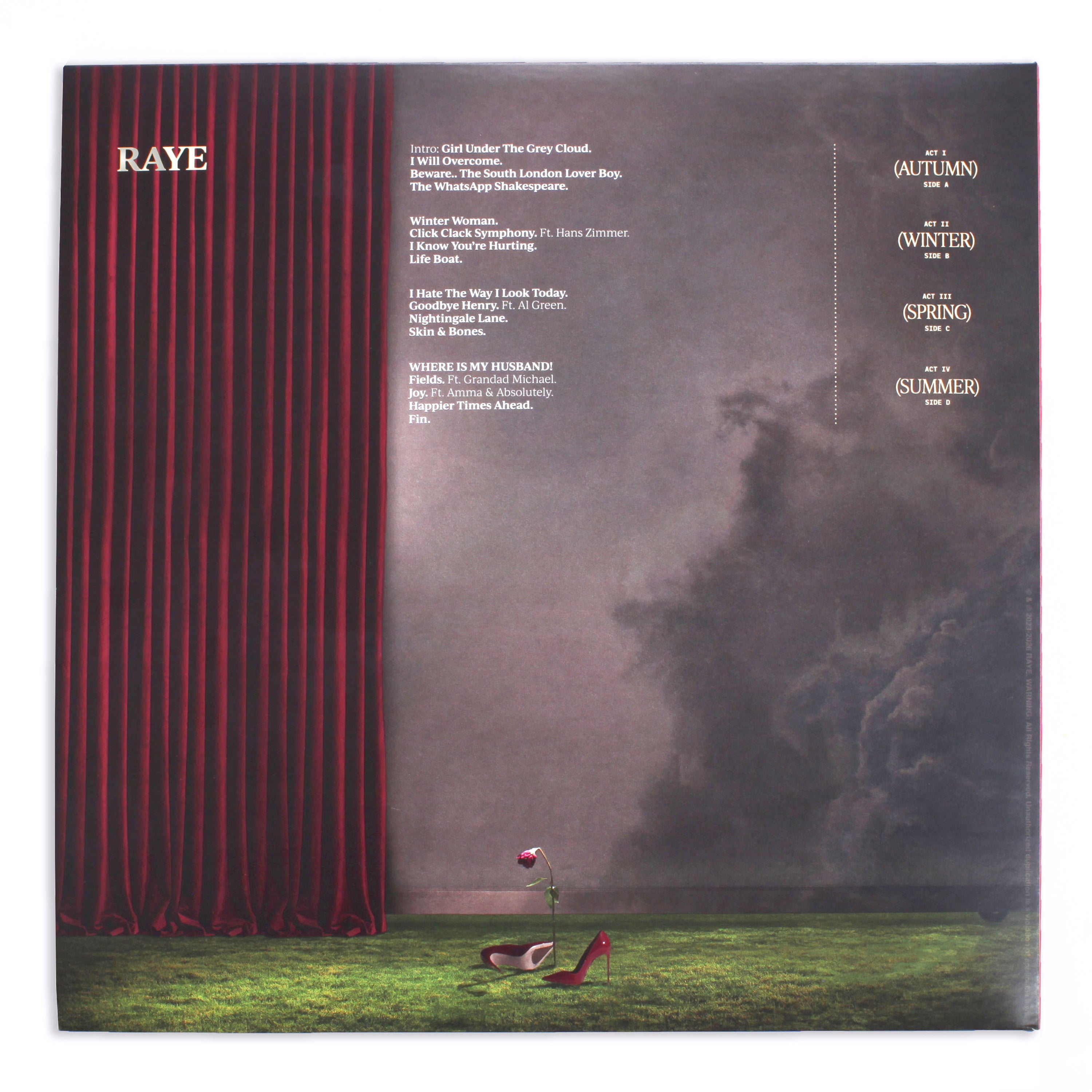 RAYE This Music May Contain Hope Vinyl | Real Groove Records