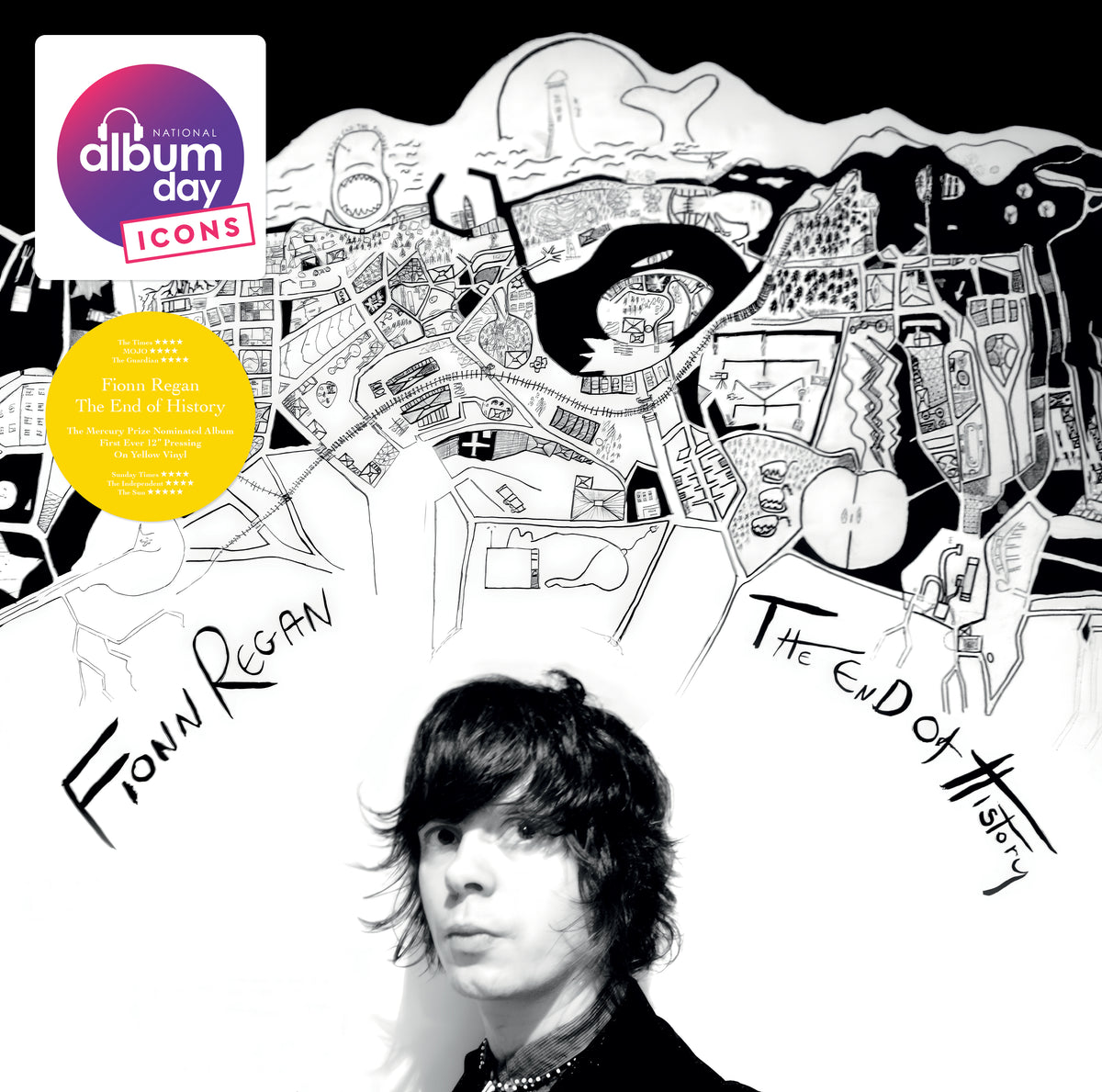 Fionn Regan - The End Of History