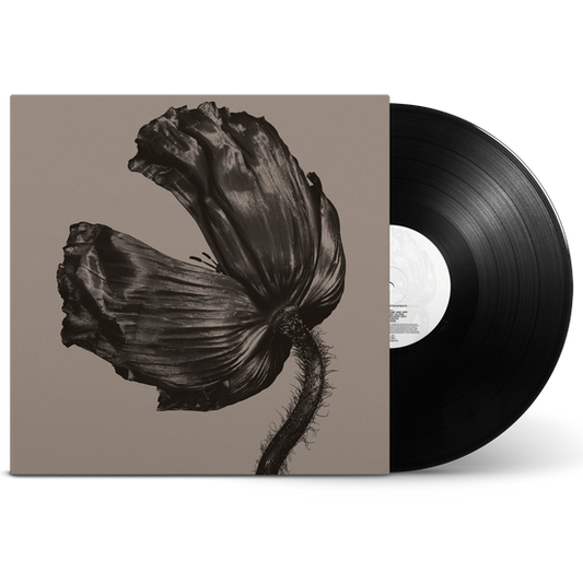 Pet Shop Boys - Release